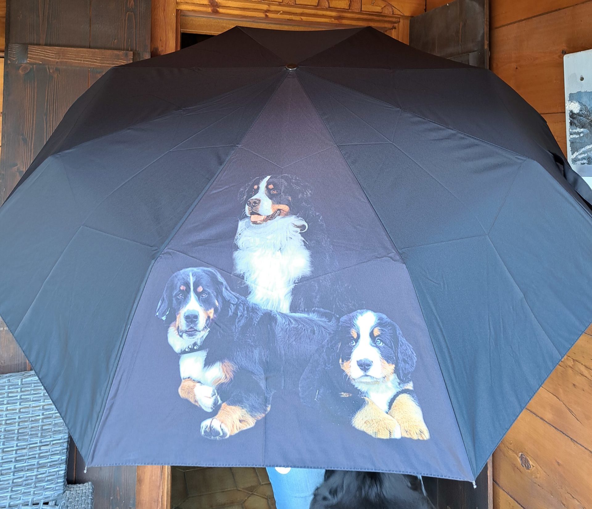 Parapluie Tandem anti-retournement • Nature & Découvertes Suisse